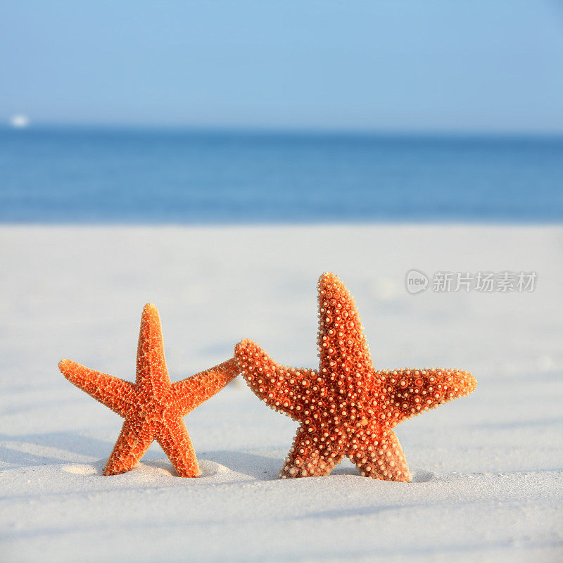 夏日海滩度假的乐趣