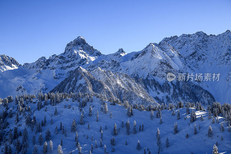 白雪皑皑的树木和群山