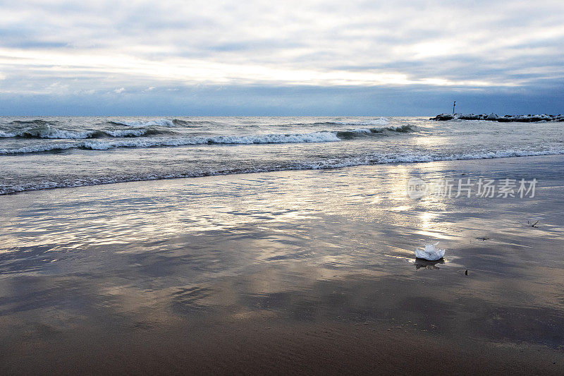 海滩在冬天