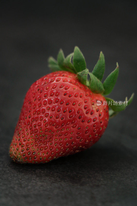 特写图像的单一成熟草莓水果与绿色的花萼和茎孤立的黑色背景