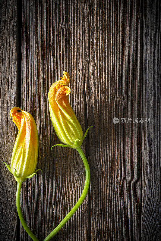 深色的木桌上放着两朵西葫芦花