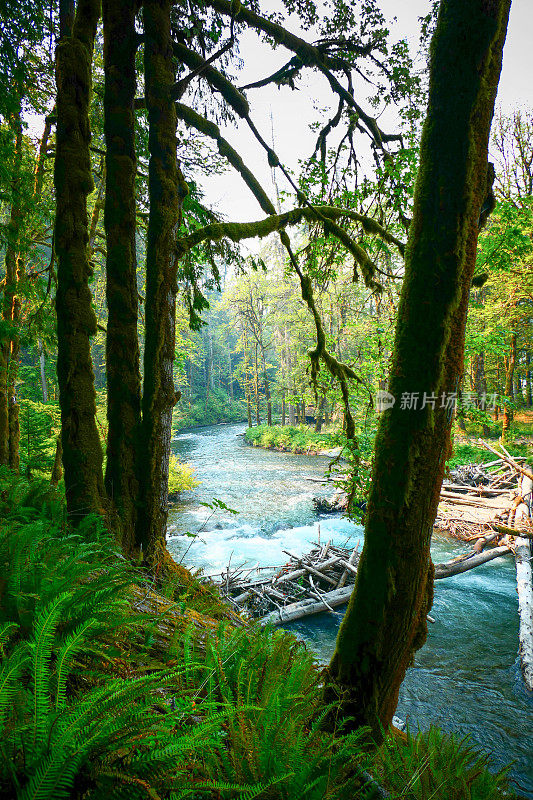 爱尔华河风景