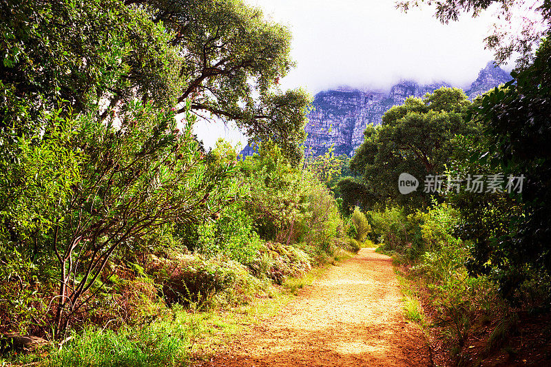 崎岖的土路在美丽的登山风景中伸展开来