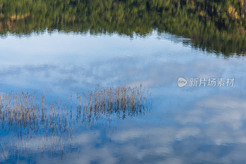 湖岸的森林，天空中的云在水面上的倒影