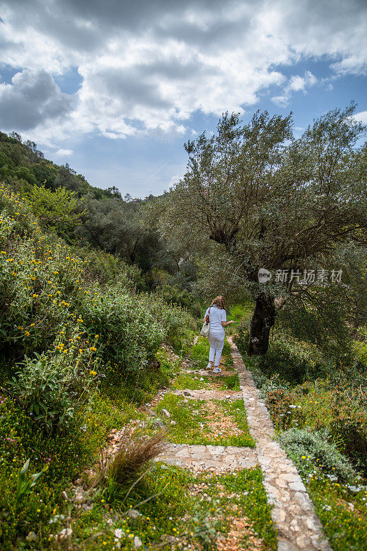 成年女性游客发现古董半废弃的橄榄林在遥远的位置希腊爱奥尼亚群岛