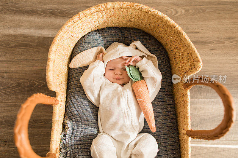 一个16周大的兔宝宝穿着白色的兔宝宝服装，躺在一个舒适的海草摩西篮子里和他的胡萝卜睡觉