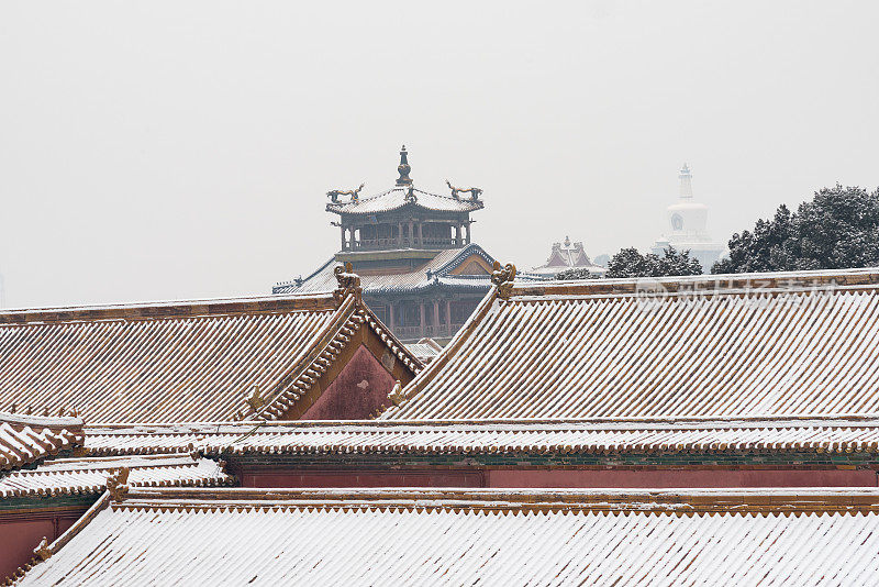 北京紫禁城在下雪