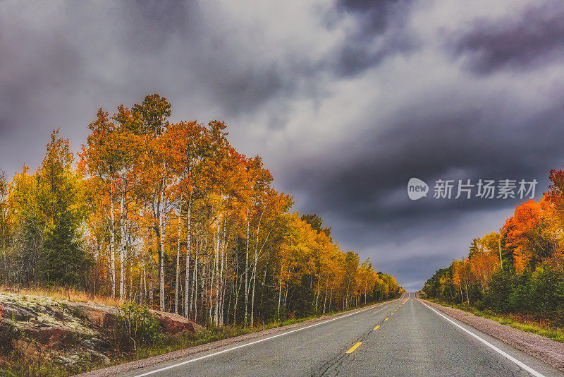 秋天的风景-黑暗的雨云和彩色的树