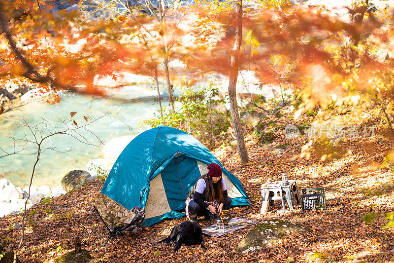 女性独自野营与她的狗在多彩的秋天森林