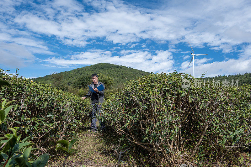 一位亚洲男性农民记录了种植园里的植物生长情况