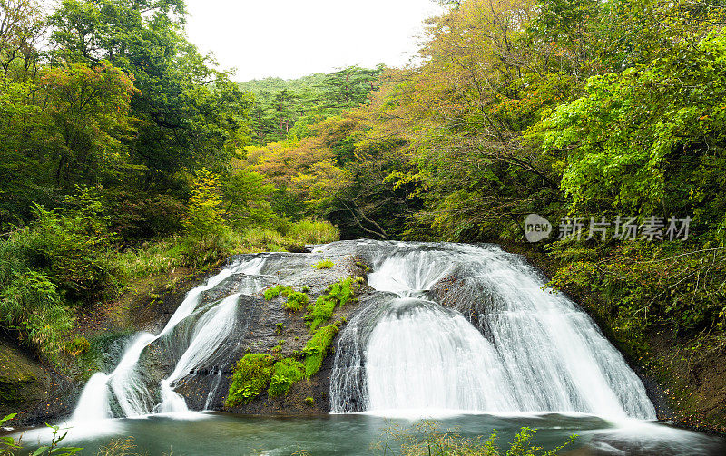 日本北部森林中流淌的原始瀑布