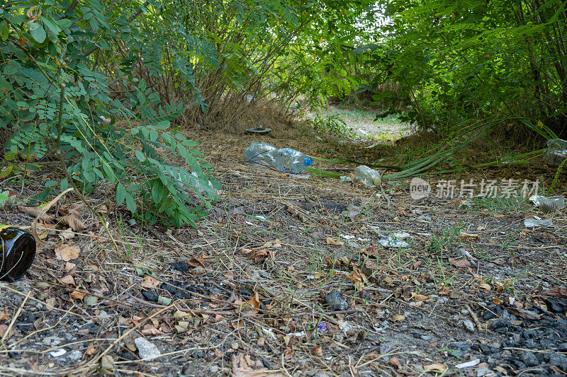 垃圾倾倒在森林里，散落在草地上。野餐后树林里的塑料垃圾。