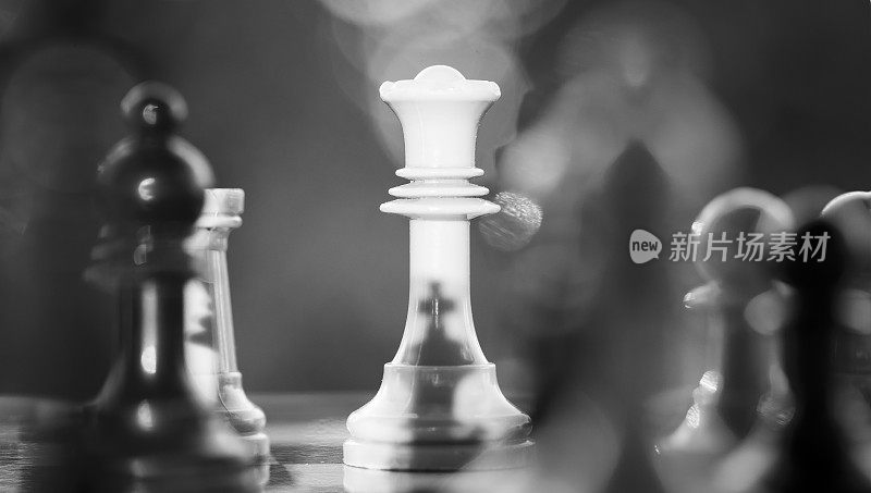 棋王体现在棋子白方后的观对手观和谋策观、商业成功观、弹性观。国际象棋比赛