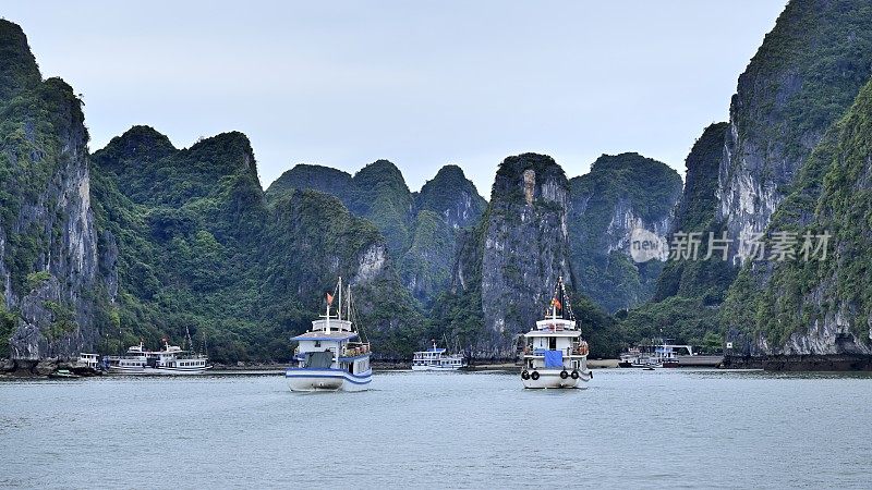 壮丽的喀斯特峰森林在海上