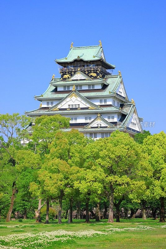 鲜绿的大阪城塔，日本大阪府，大阪