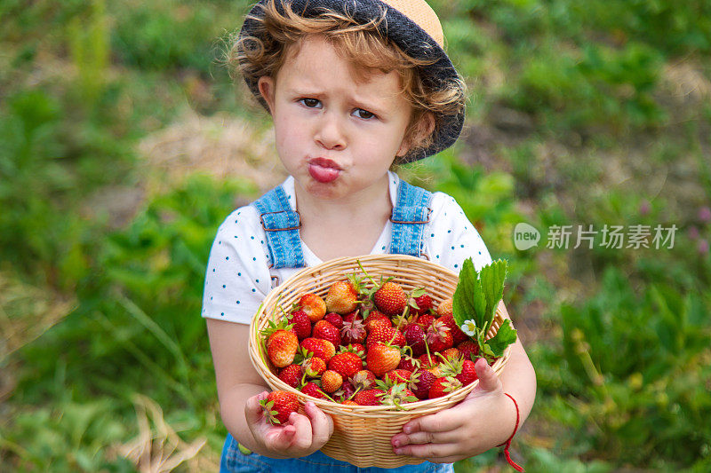 一个孩子在花园里吃草莓。有选择性的重点。