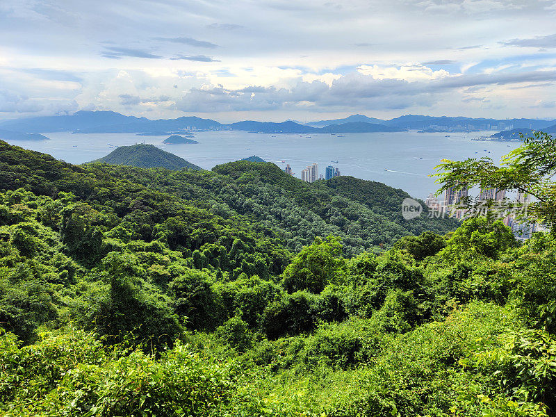 香港太平山顶的绿色景观