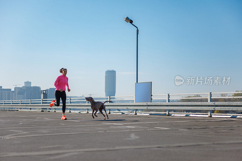 在一个晴朗的早晨和她的狗一起跑步，在城市车库顶上锻炼