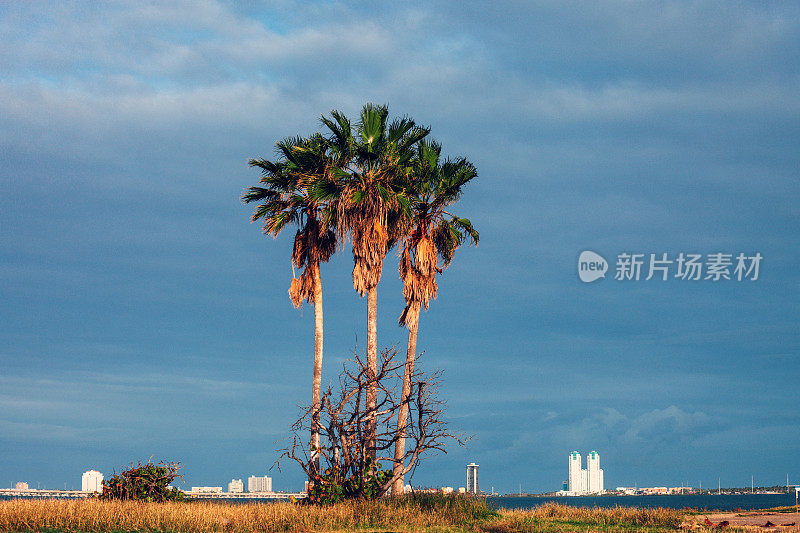 南帕德雷岛景观