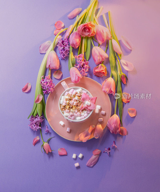 粉红色杯可可与棉花糖与春天的花朵在紫色的背景