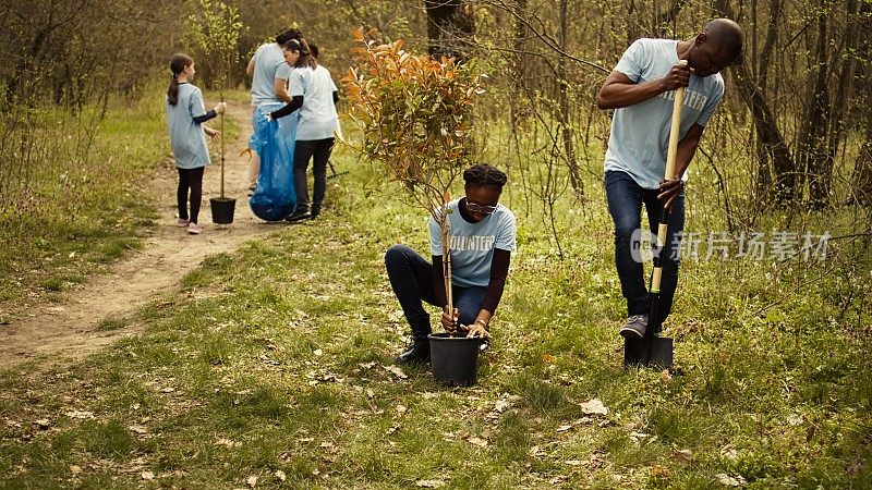 非裔美国志愿者团队在森林里挖洞植树