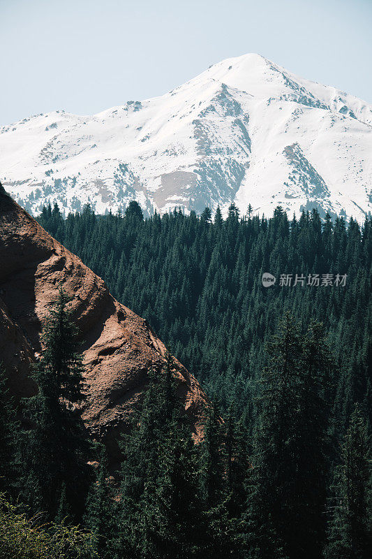 红岩上云杉林后面山峰的冰帽