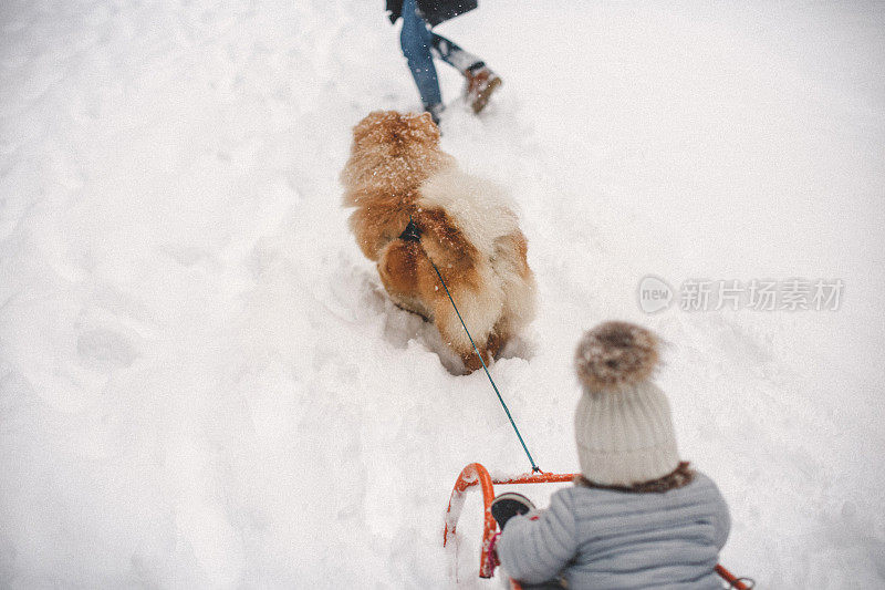 雪中的聚会时间