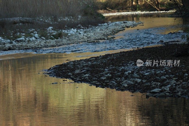 森林倒影在河水上