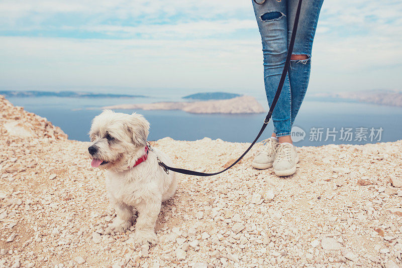 一个年轻的女人和她的狗站在岛上度假