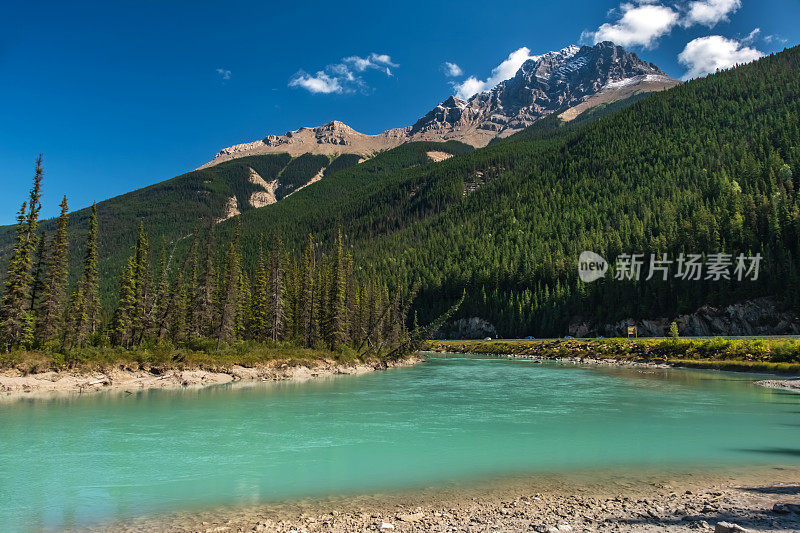 弓河和加拿大落基山脉景观