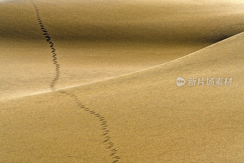 美国俄勒冈州沿海地区