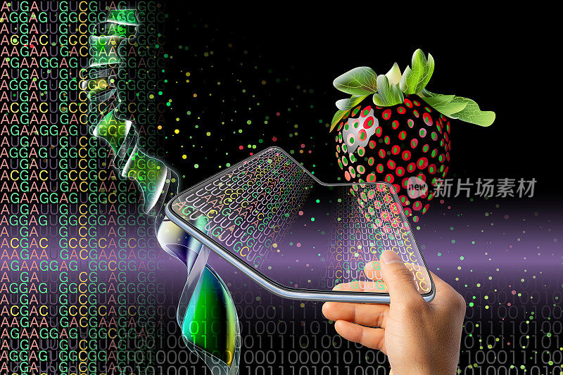 一只手拿着一个可折叠的平板，还有一个由二进制代码、RNA代码和DNA组成的螺旋。研究一下用基因工程技术制成的黑草莓。