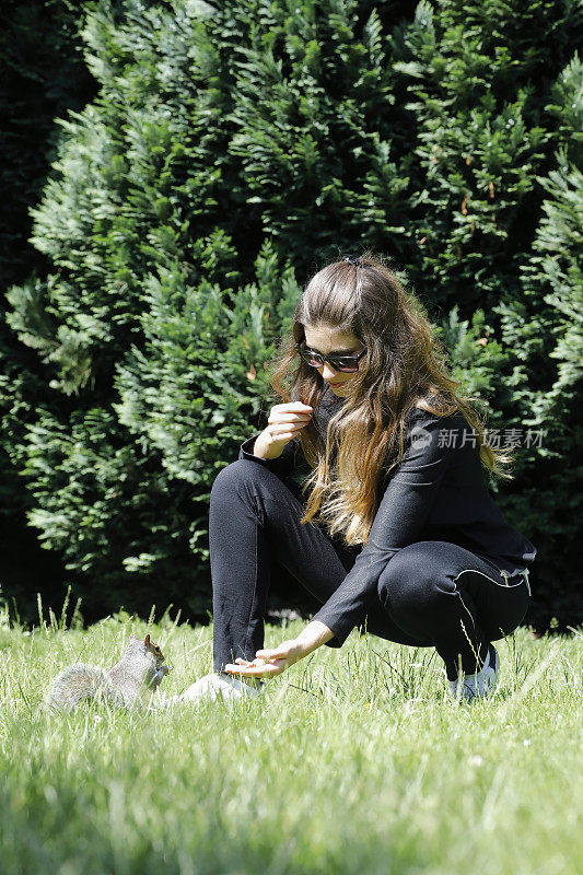美丽的俄罗斯户外女孩喂养驯服的灰松鼠