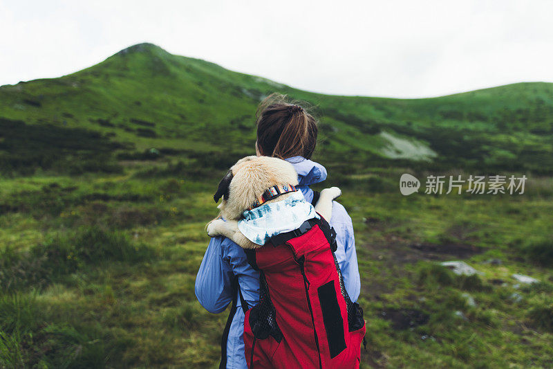 女人和狗在背包里登山