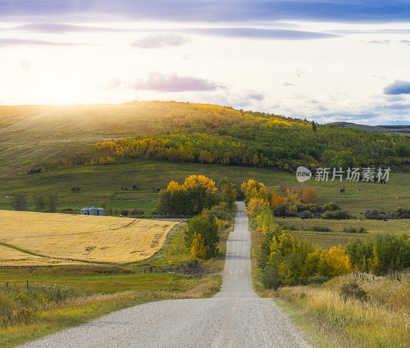 砾石路穿过加拿大草原草原山麓