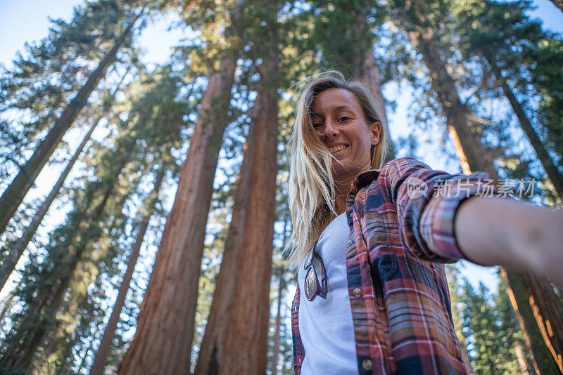 年轻女子在巨杉树下自拍
