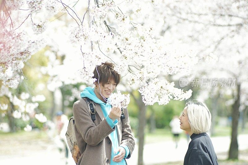 两个年轻男女在公园里欣赏樱花