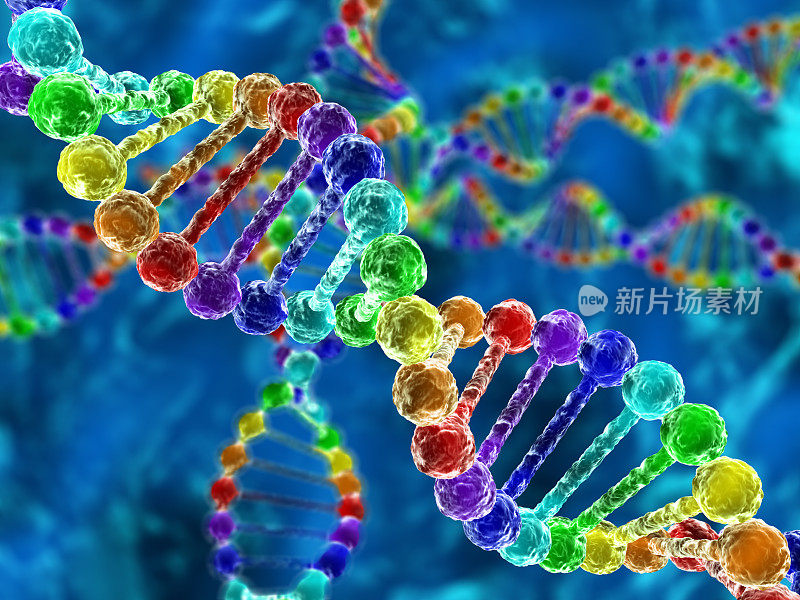 彩虹DNA(脱氧核糖核酸)