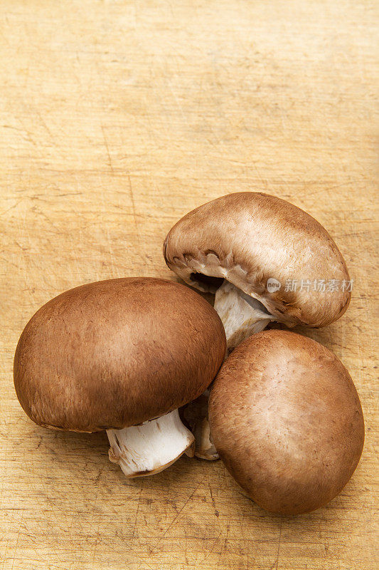 木头上的三个棕色蘑菇