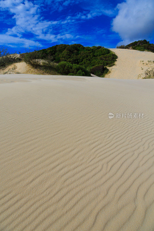 弗雷泽岛沙丘，澳大利亚