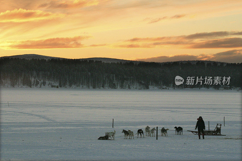 狗拉雪橇在北极的夕阳