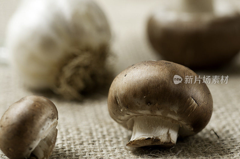 意大利蘑菇和大蒜粗麻布