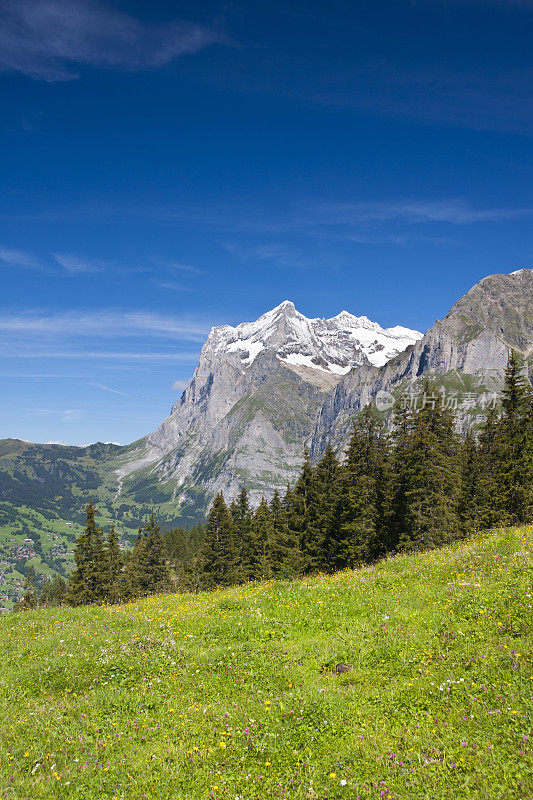 Wetterhorn,瑞士阿尔卑斯山