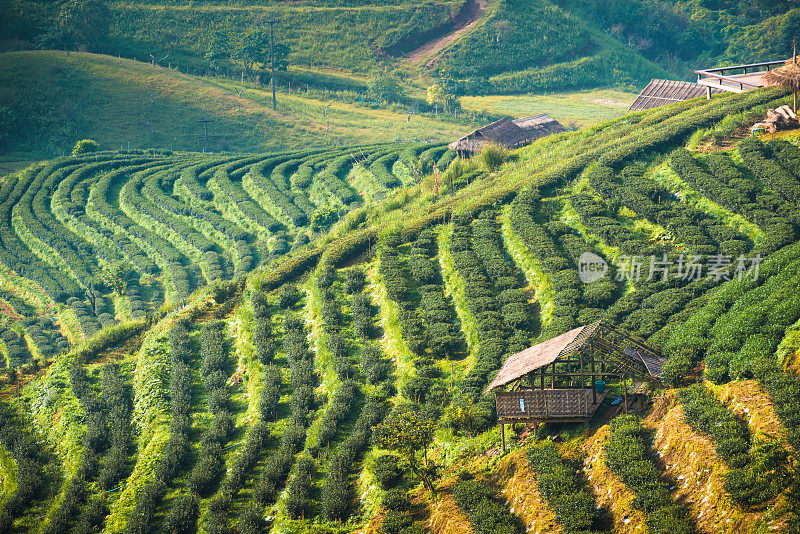 泰国北部山区的清晨日出全景