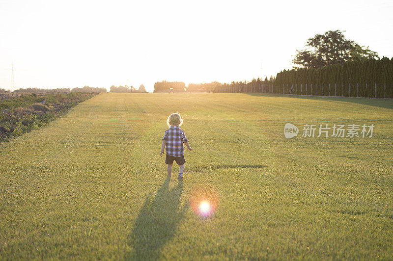 在田野里奔跑