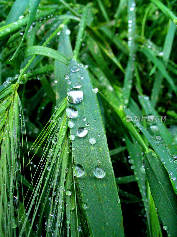 雨滴