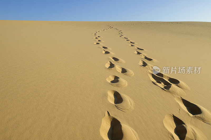 沙漠的沙子上有脚印