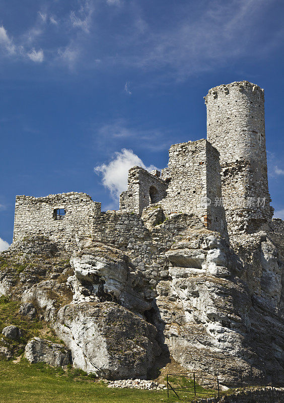城堡Ogrodzieniec
