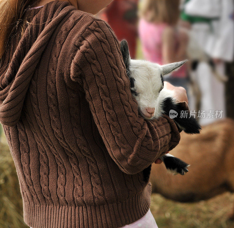 小山羊被女孩抱着