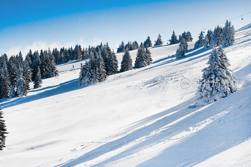 充满活力的全景滑雪胜地的斜坡，雪树